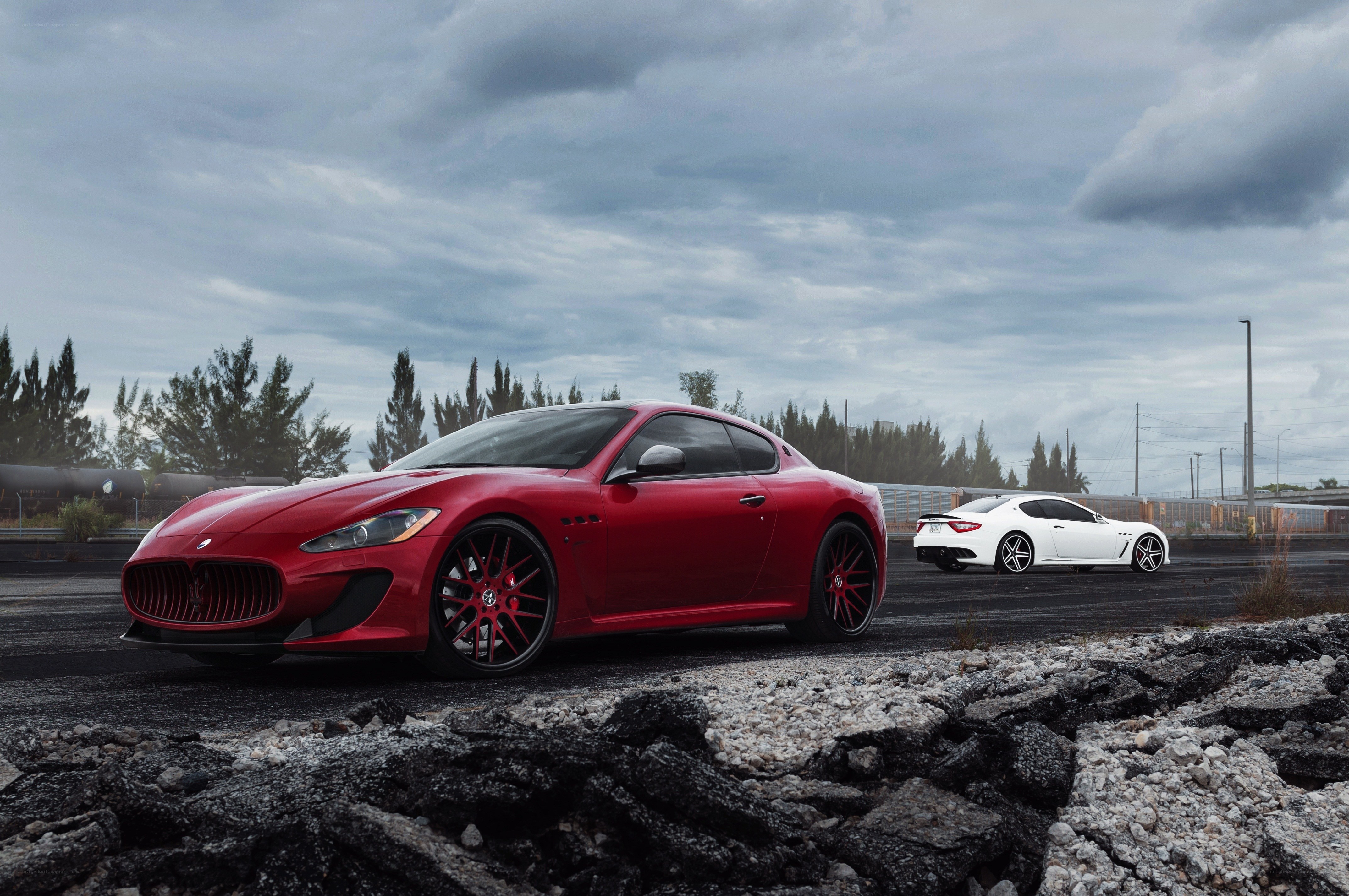 Red and white Maserati sports cars