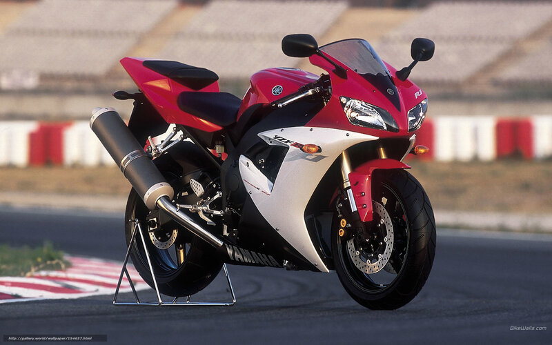 Red and White Motorcycle — Dynamic