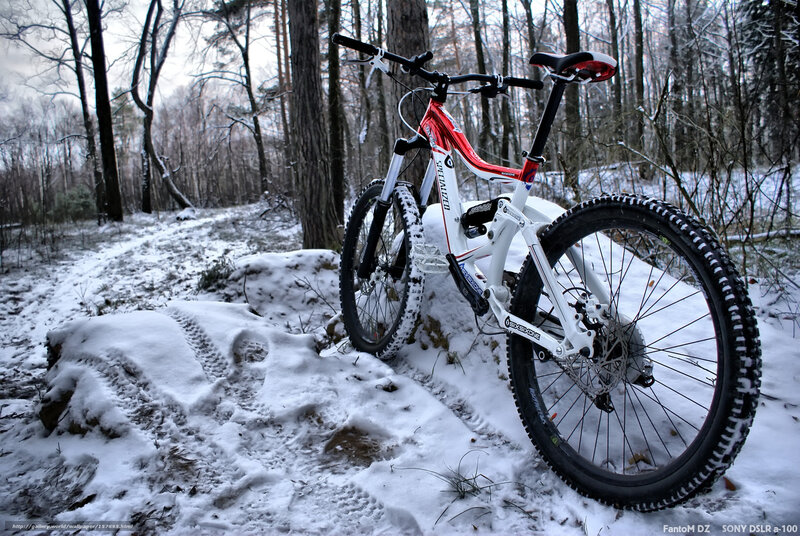 Red and White Mountain Bike