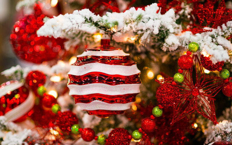 Red and White Ornament — Festive, Winter, Photograph, Snow-covered Branches, String Lights