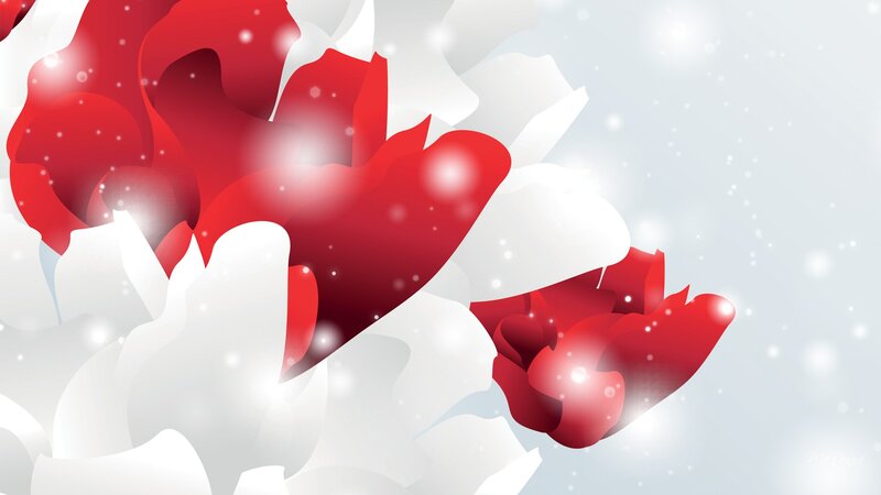 Red and White Petals
