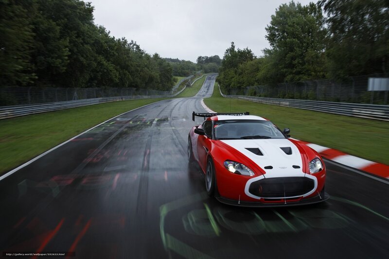 Red and White Race Car — Dynamic, Photograph, Race Track, Trees, Wet Pavement
