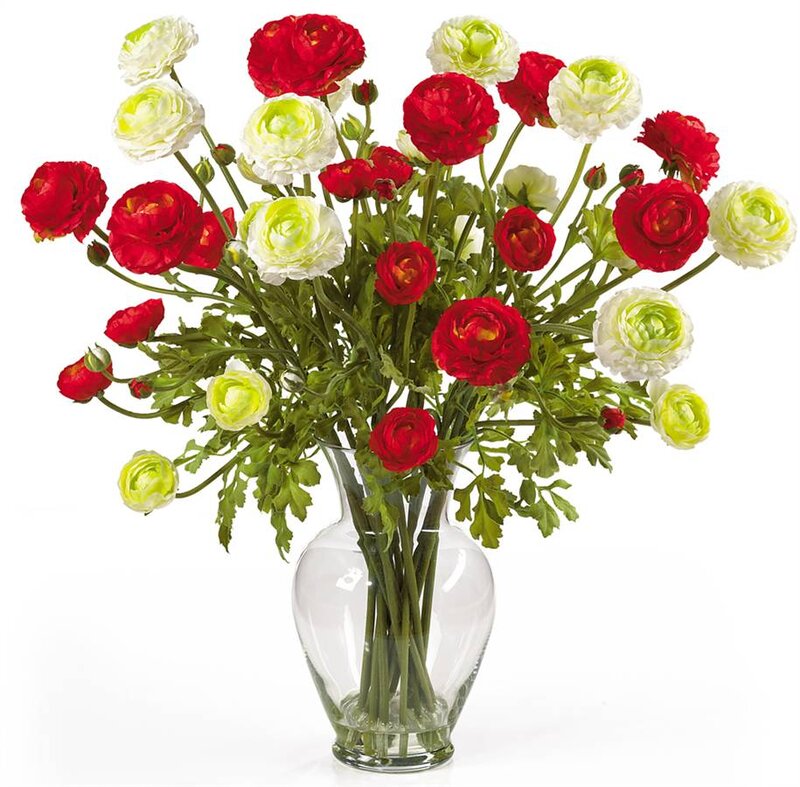 Red and White Ranunculus
