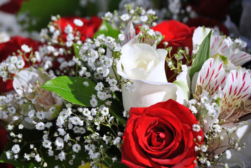 red and white rose bouquet