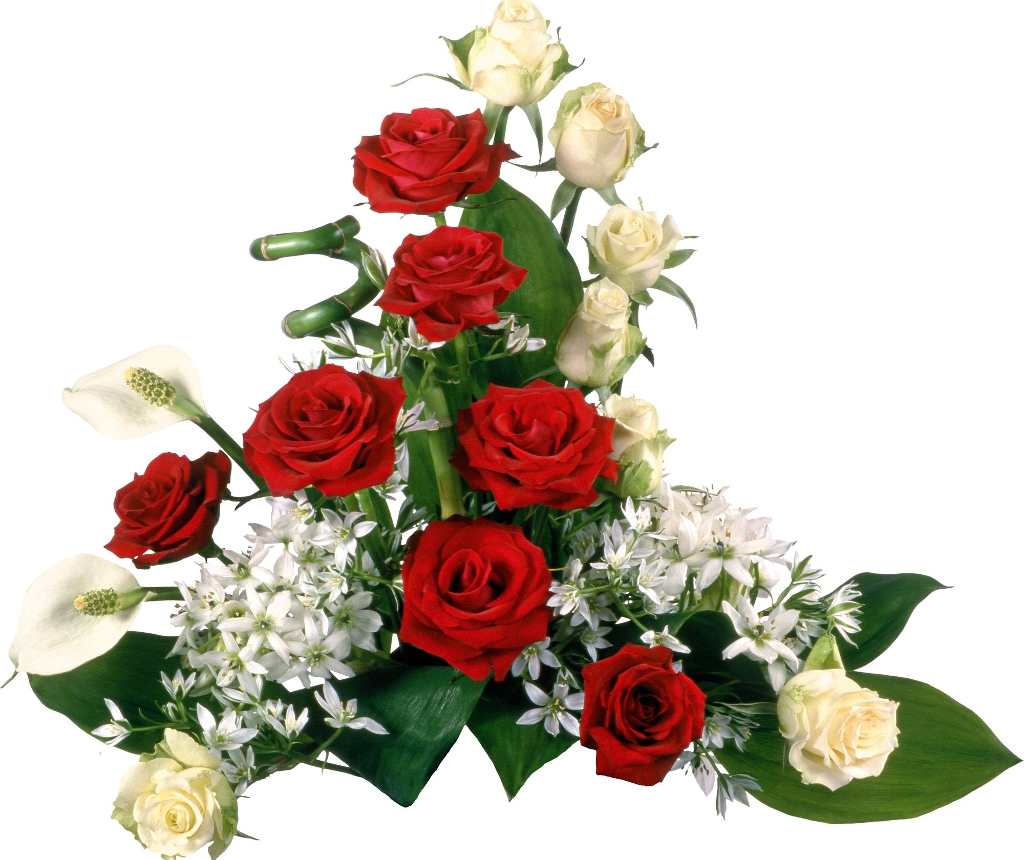 red and white rose bouquet