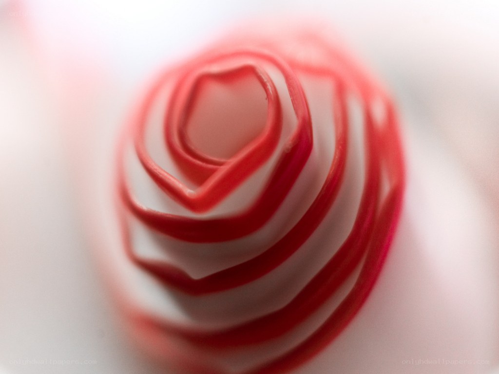 Red and white rose swirl