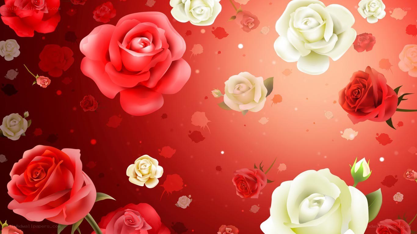 red and white roses background