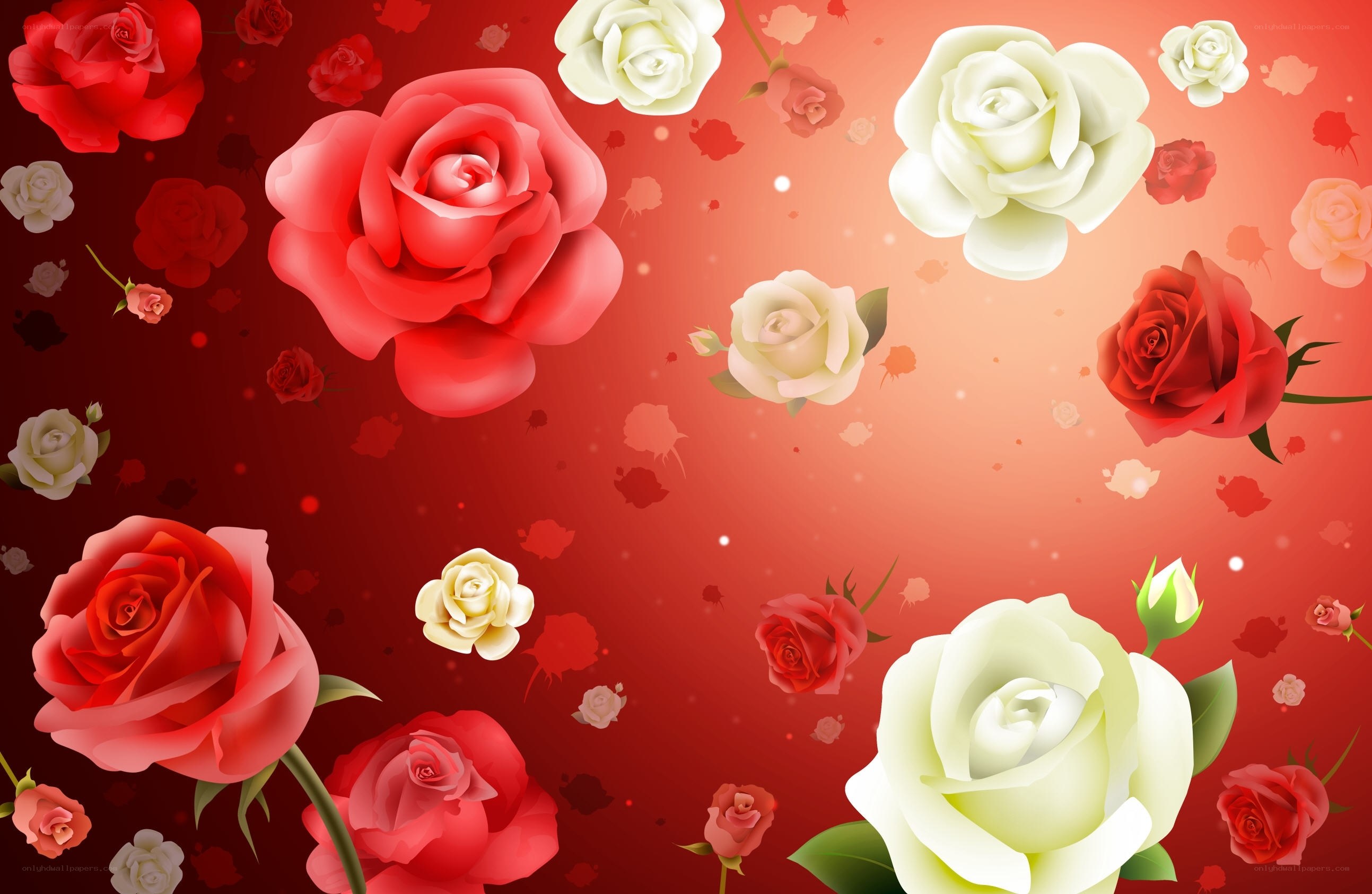 Red and white roses background