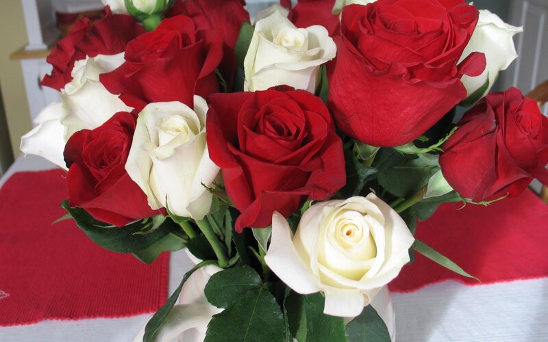 red and white roses bouquet