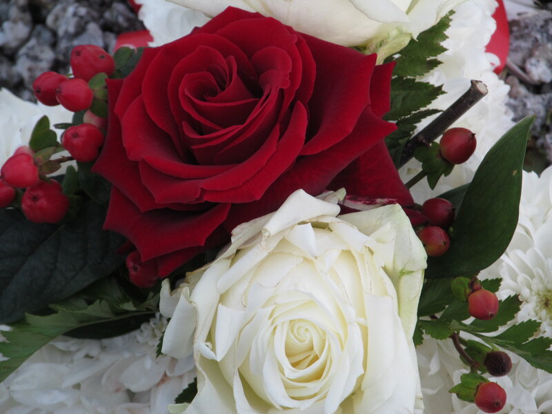 Red and White Roses — Calm, Photograph, Berries