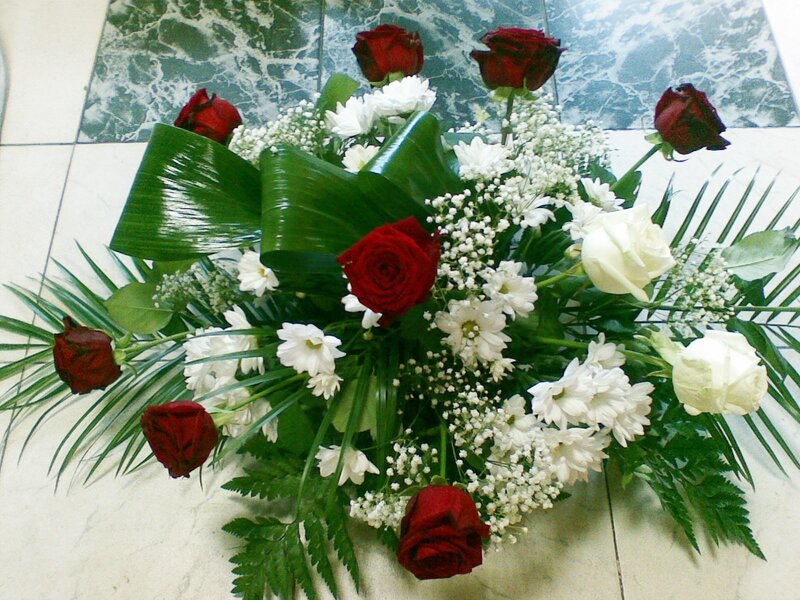 Red and White Roses — Calm, Photograph, Chrysanthemums