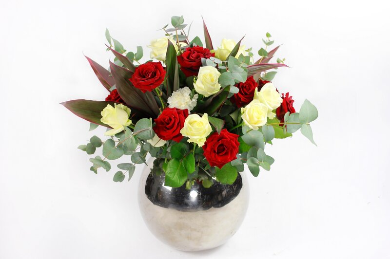 Red and White Roses — Calm, Photograph, Eucalyptus, Leaves