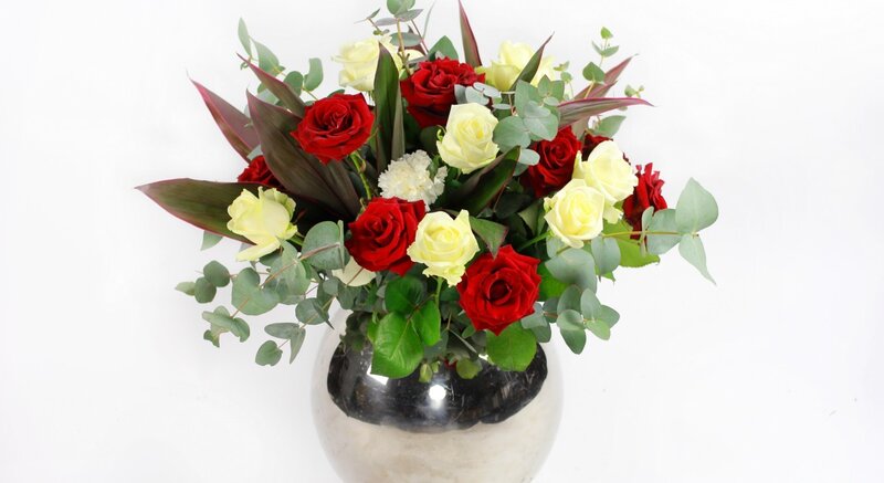 Red and White Roses — Calm, Photograph, Eucalyptus