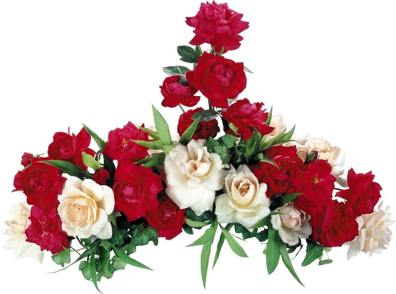 Red and White Roses — Calm, Photograph, Green Leaves, Flowers, Bouquet