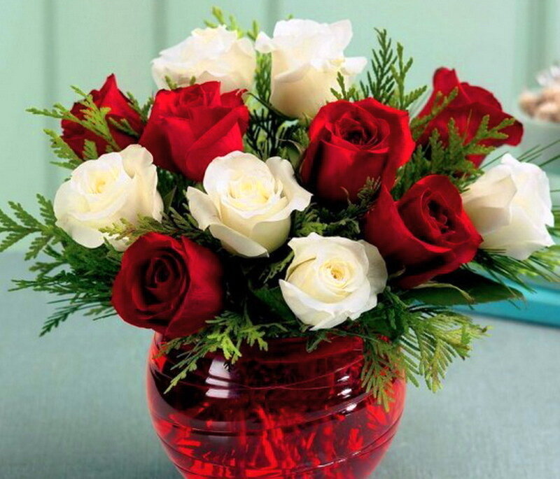 Red and White Roses — Calm, Photograph, Greenery