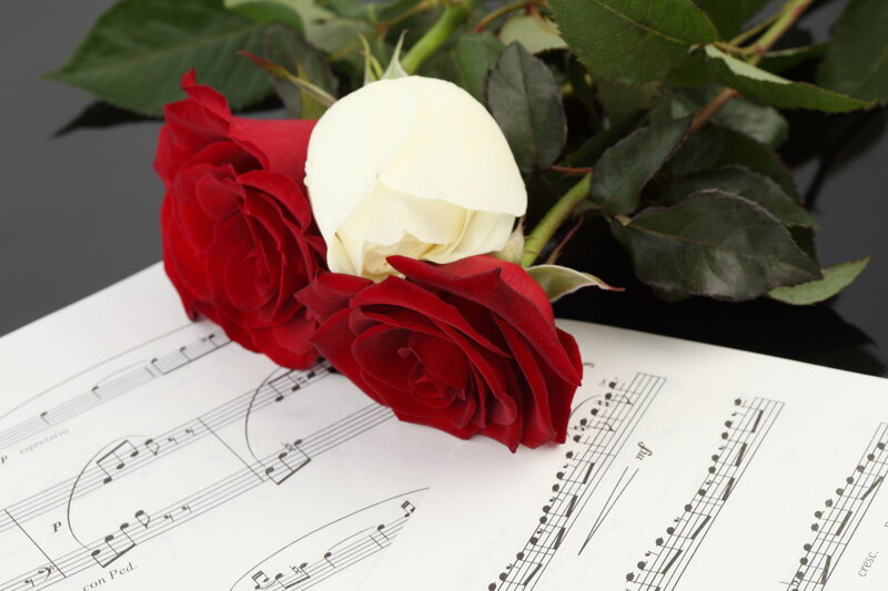 Red and White Roses — Calm
