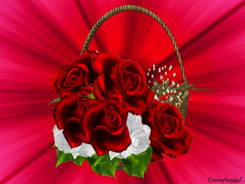 Red and White Roses — Dramatic, Digital Art, Basket