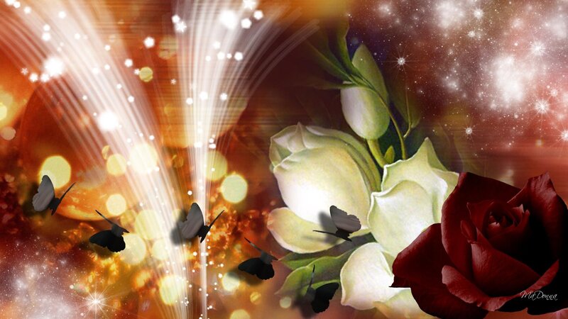 Red and White Roses — Dramatic, Digital Art, Butterflies