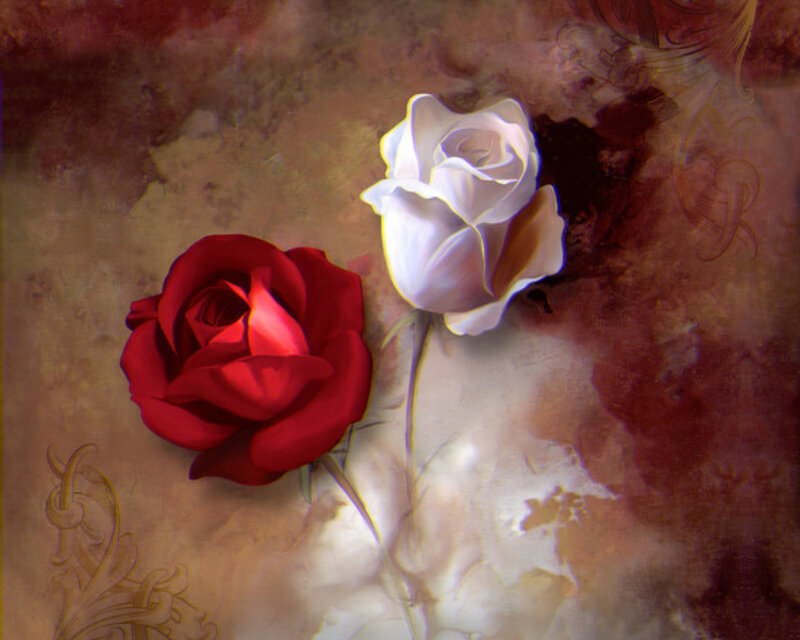 Red and White Roses — Dramatic, Digital Art