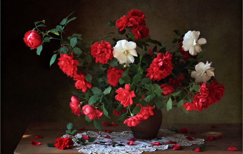 Red and White Roses — Dramatic, Photograph, Vase