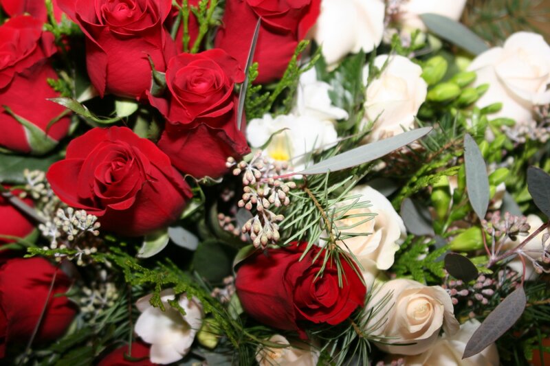 Red and White Roses — Festive