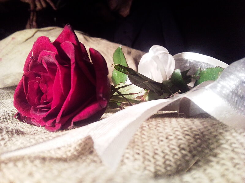 Red and white roses on burlap