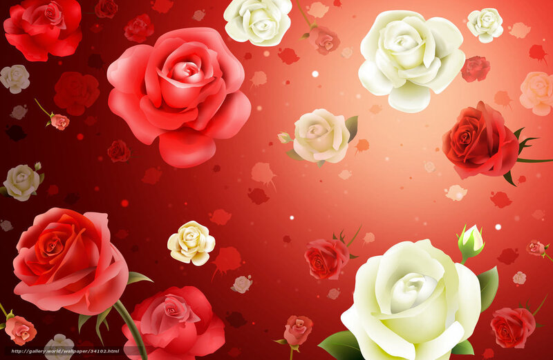Red and white roses on red background