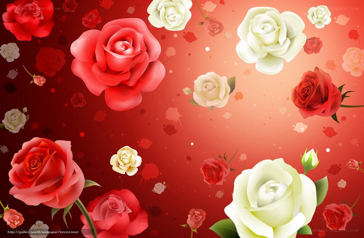 Red and white roses on red background