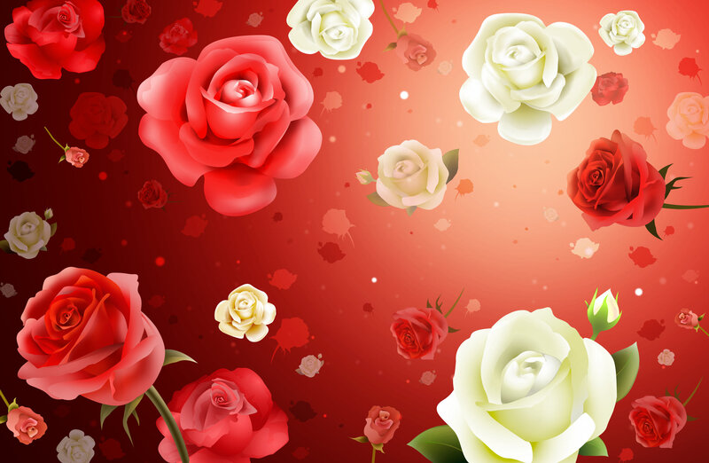 Red and White Roses — Romantic, Digital Art, Flowers