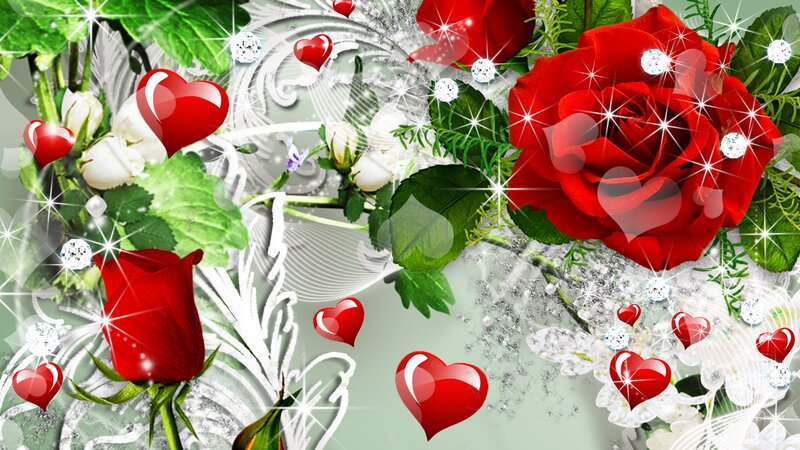 Red and White Roses — Romantic, Digital Art, Hearts