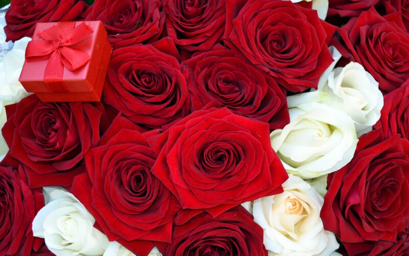 Red and White Roses — Romantic, Photograph, Gift Box