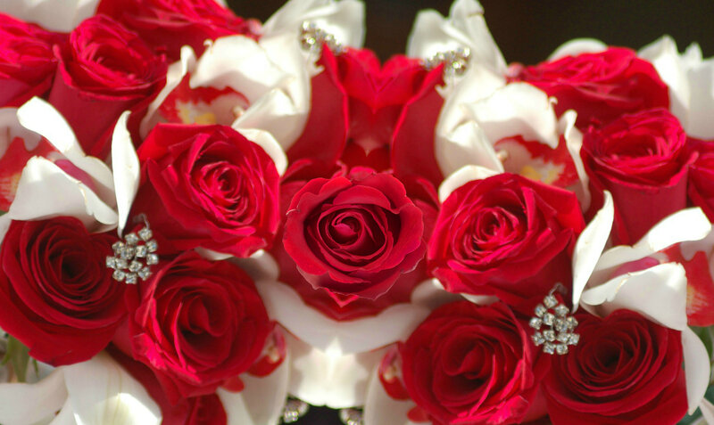 Red and White Roses — Romantic, Photograph, Orchids