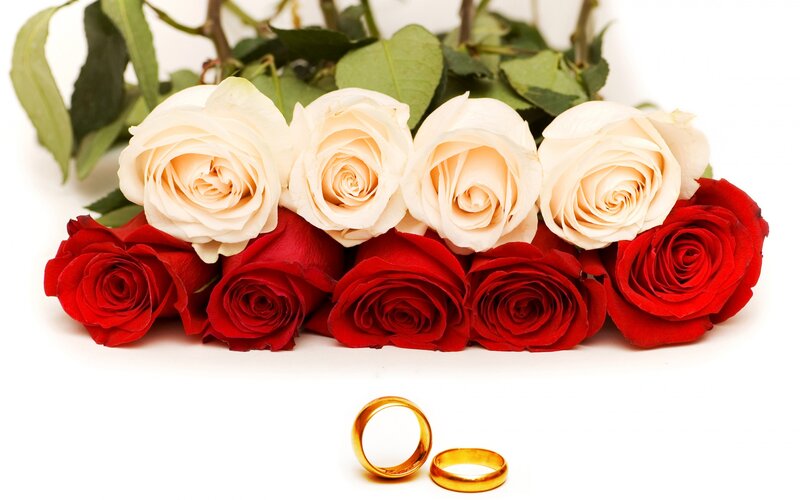 Red and White Roses — Romantic, Photograph, Rings