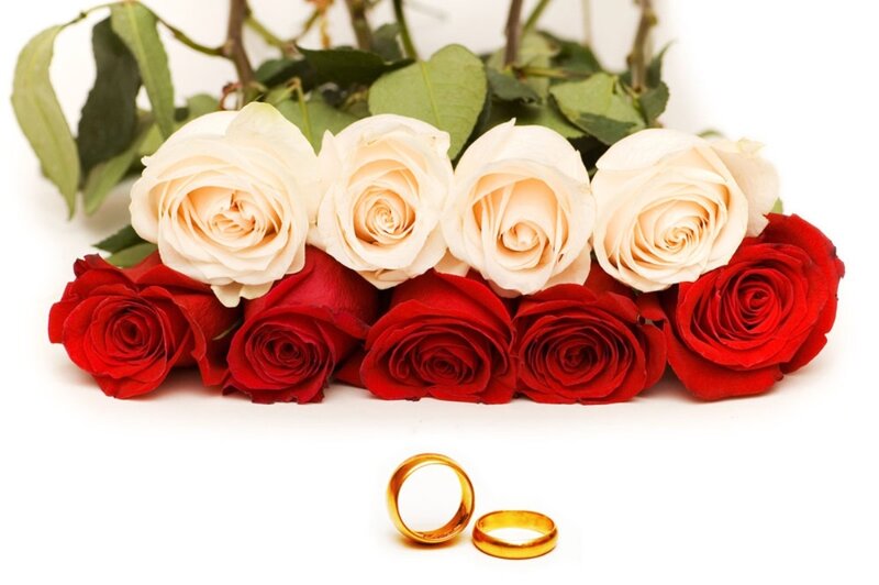 Red and White Roses — Romantic, Photograph, Wedding Rings