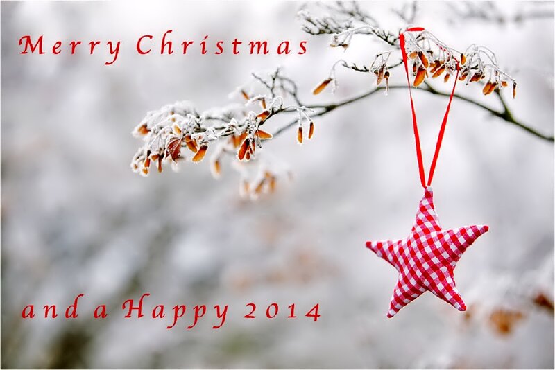 Red and White Star Ornament