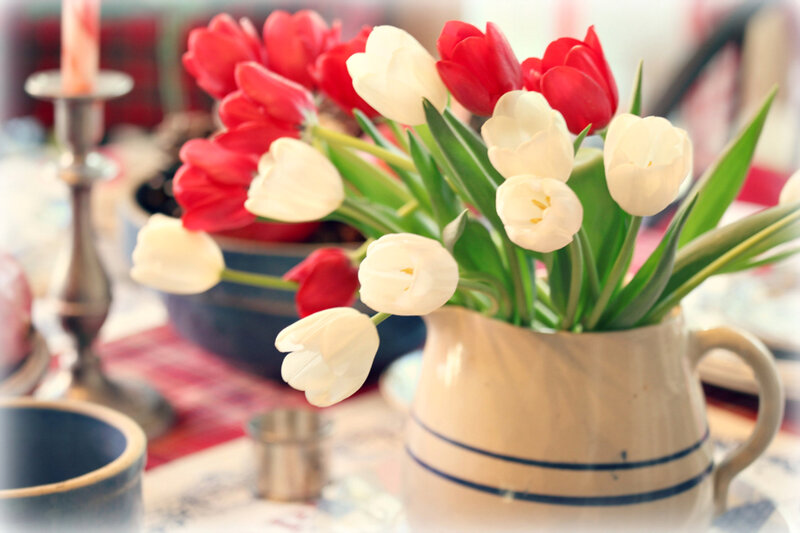 Red and White Tulips — Calm, Spring, Photograph, Vase