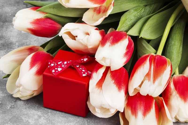 Red and White Tulips — Romantic, Photograph, Gift Box