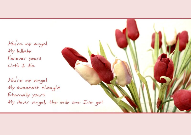 Red and White Tulips — Romantic, Photograph