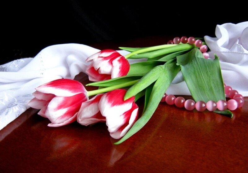 Red and White Tulips — Serene, Photograph, Beads