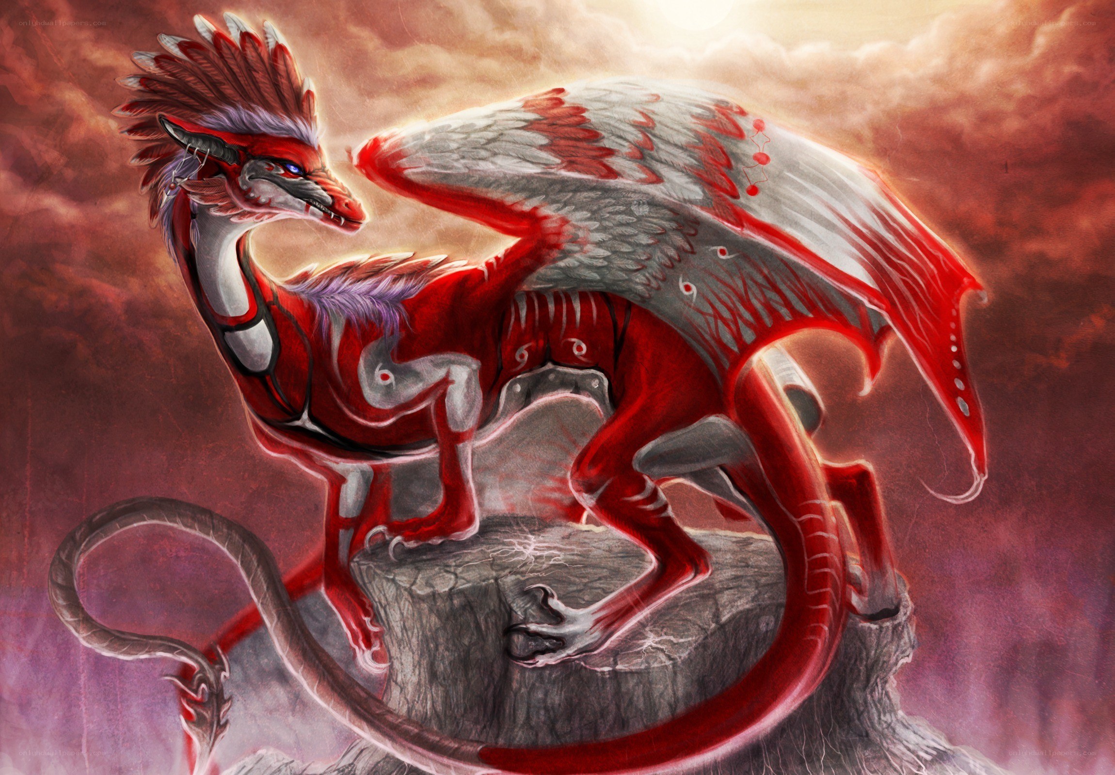 Red and white winged dragon