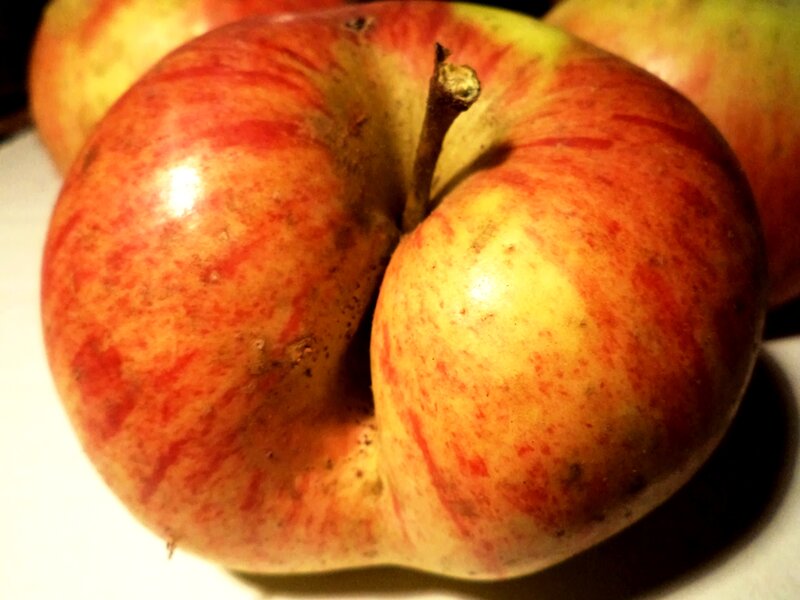 Red and Yellow Apple