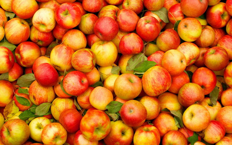 Red and Yellow Apples — Fresh