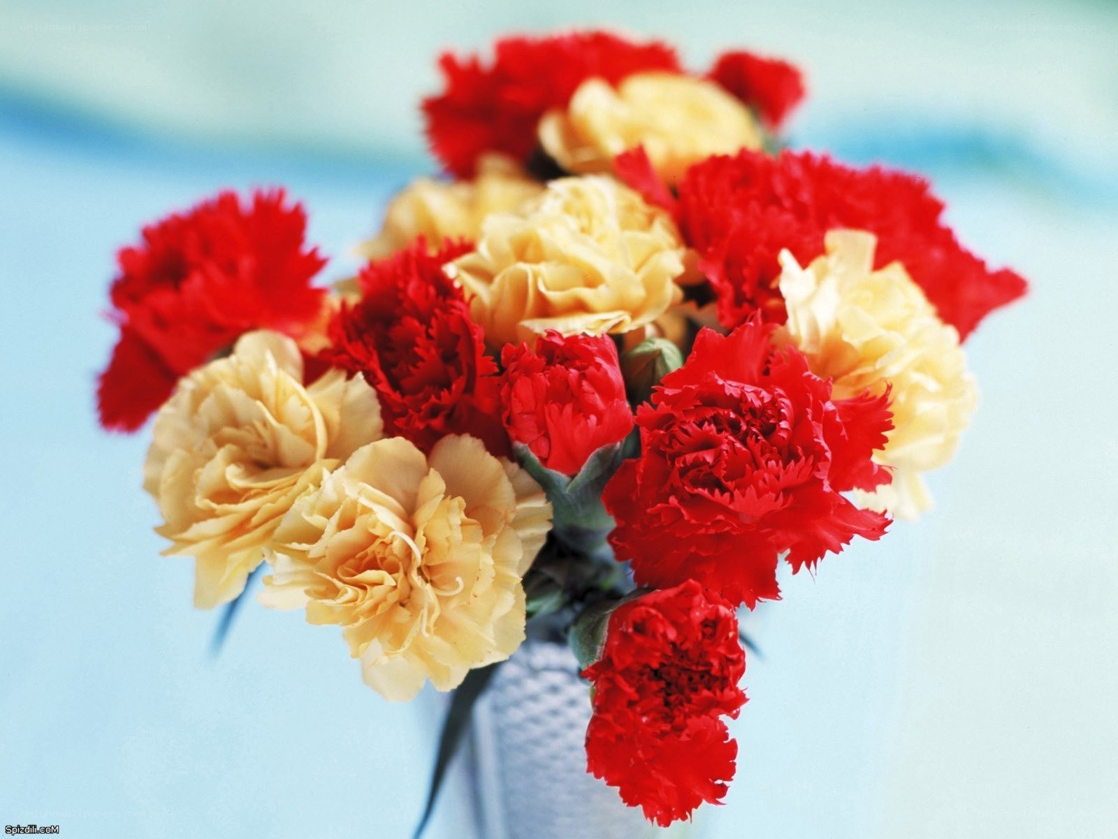 Red and yellow carnations bouquet
