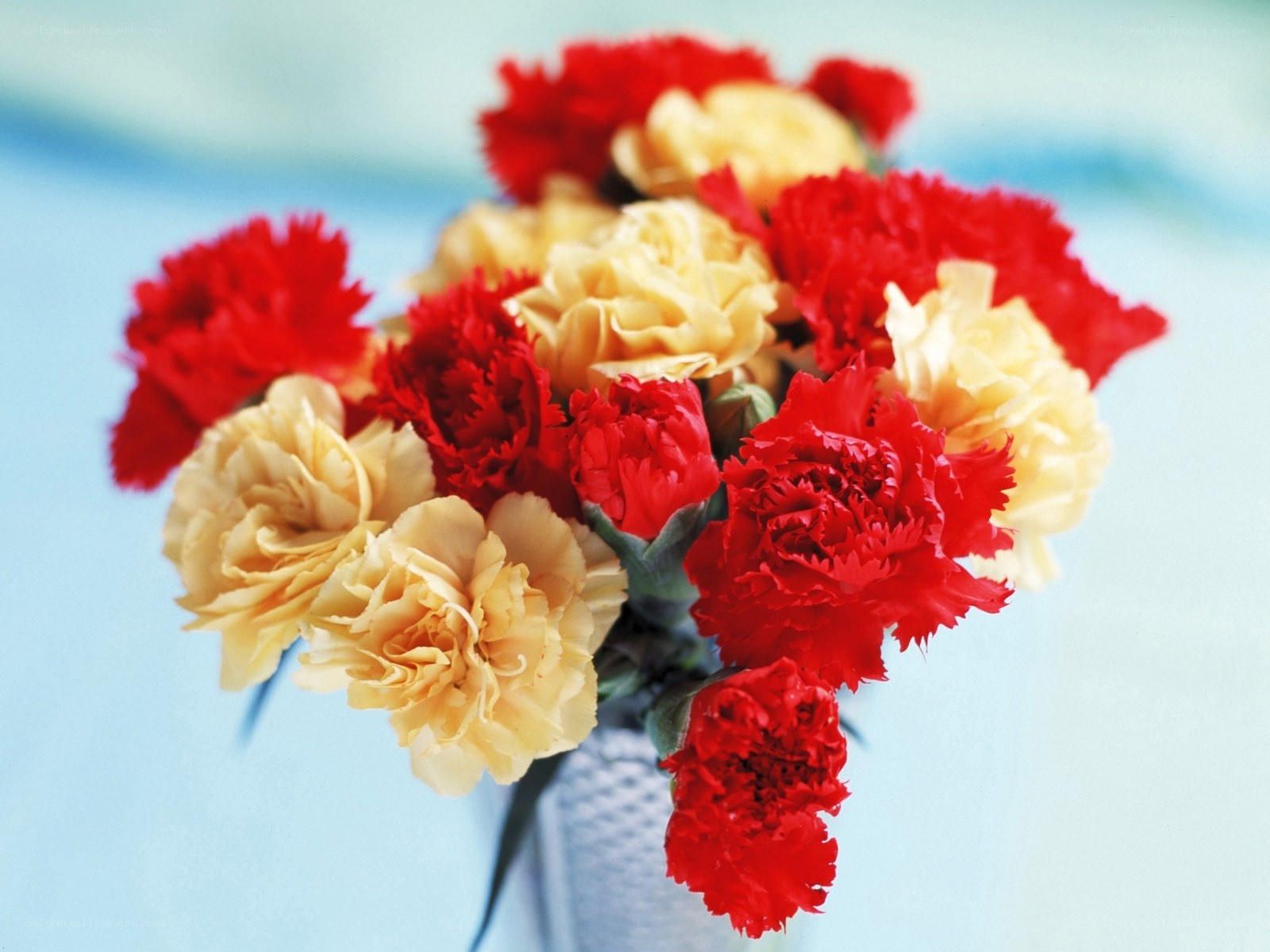 Red and yellow carnations bouquet
