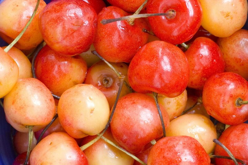 Red and Yellow Cherries — Fresh