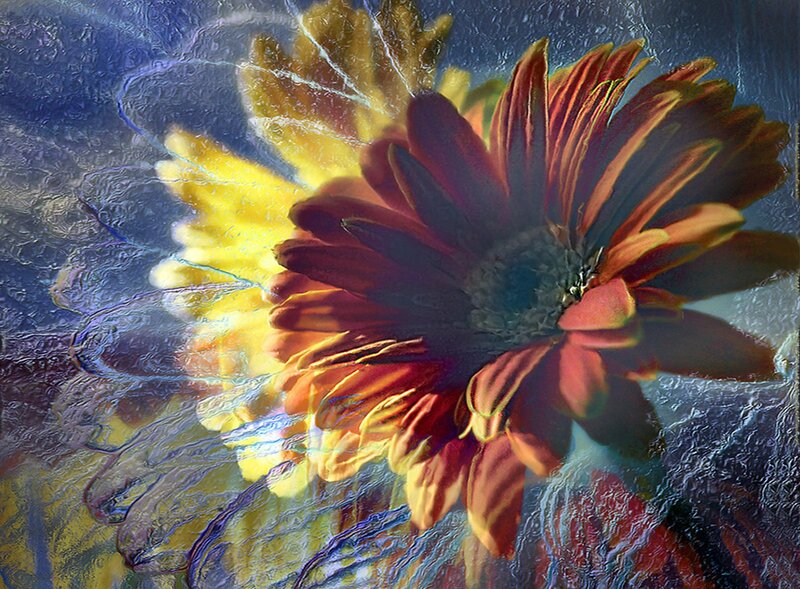 Red and Yellow Flower — Vibrant, Digital Art