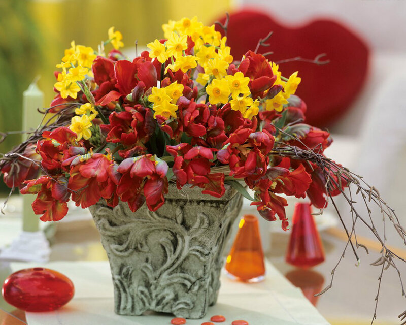 Red and Yellow Flowers — Festive
