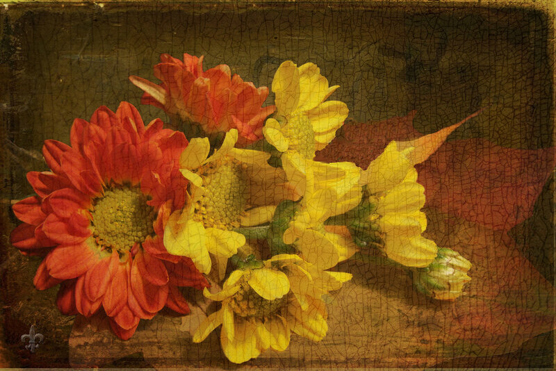 Red and Yellow Flowers — Still Life