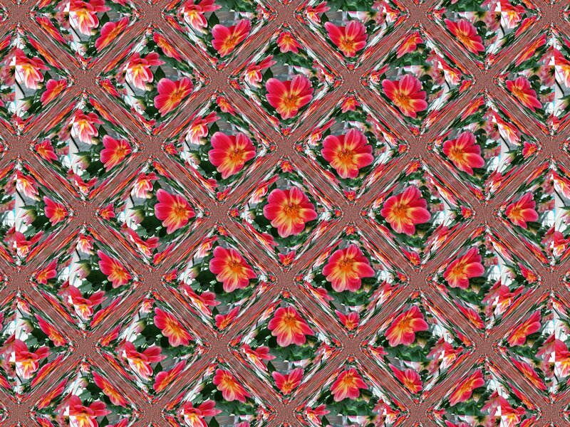 Red and Yellow Flowers — Vibrant, Digital Art, Leaves