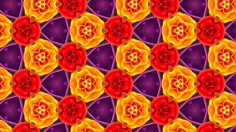 Red and Yellow Flowers — Vibrant, Digital Art